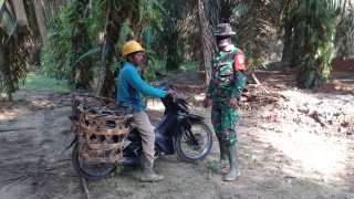 Jalan Baru TMMD,Jadikan Semangat Baru Petani di Sungai Bengkal