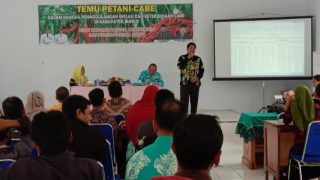 Tekan Inflasi dan Pastikan Ketersediaan Cabe Dinas TPH-Bun Bungo Adakan Temu Petani Cabe Se-Kabupaten Bungo