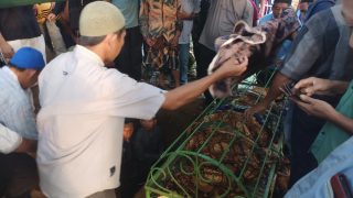 Diduga Dibunuh,Sosok Mayat Tanpa Kepala Sudah Teridenfikasi dan Telah Dimakamkan