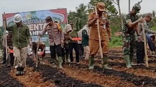 Percepat Swasembada Pangan 2025 PJ Bupati dan Polres Merangin Tanam Jagung Serentak