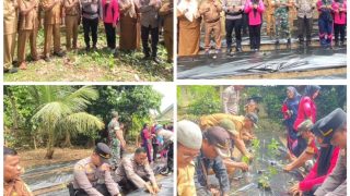 Dukung Program Kemandirian Pangan ,Kapolsek Tanah Sepenggal Gelar Kegiatan Launching Penguatan Program Pekarangan Pangan Lestari Melalui Pendekatan Terintegrasi dan Berkelanjutan