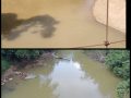 Masyarakat Dusun Senamat Keluhkan Air Batang Senamat Keruh, Dalam Waktu Dekat Masyarakat Akan Turun Menyusuri Sungai Apabila Ditemukan Aktivitas PETI Akan Membakar Semua Alat PETI
