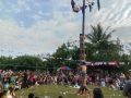 Meriahkan HUT RI Ke-80, Pemdus Datar Gelar Lomba Panjat Pinang dan Berbagai Lomba Tradisional Lainnya