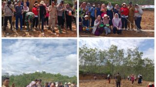 Dukung Program Ketapang Swasembada Pangan, Pemdus Sungai Gambir Beserta Jajaran Melaksanakan Penanaman Jagung Serentak Seluas 1 Hektar