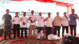 Staf Ahli Menteri Lingkungan Hidup Nyatakan Jambi Jadi Contoh Gerakan Tanam Pohon Serentak