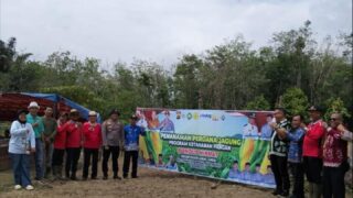 Dukung Program Ketapang Swasembada Pangan, Pemdus Pasar Lubuk Landai Beserta Jajaran Melaksanakan Penanaman jagung Serentak Seluas 1 Hektar